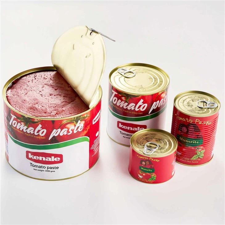 Tomato Paste 2.2KG price