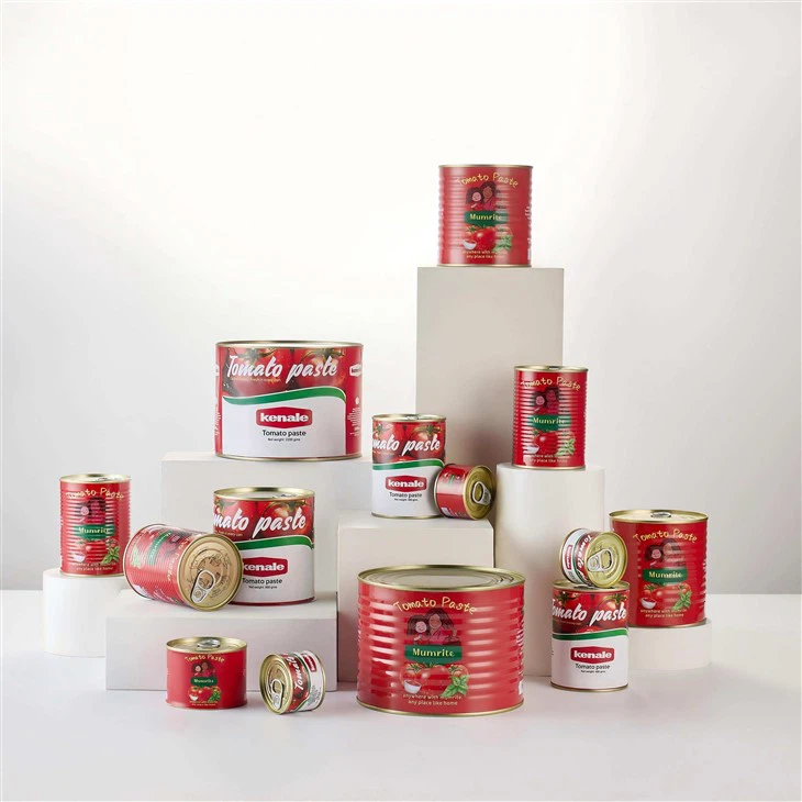 Tomato Paste 2.2KG manufacturers